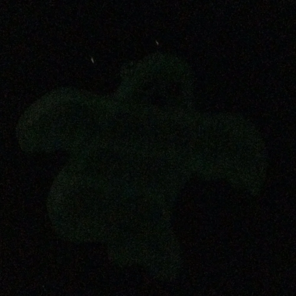 New 3 KeyChine Glow in the dark